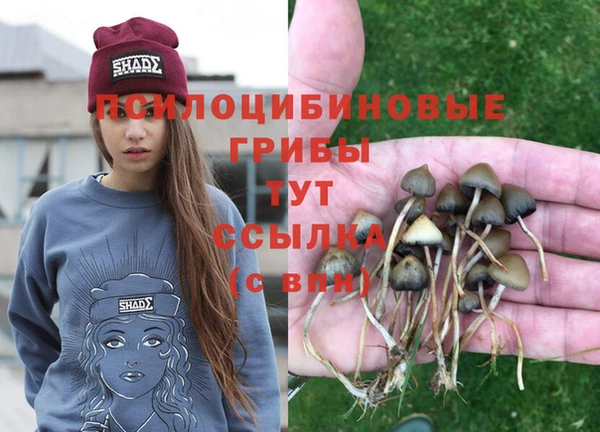 apvp Армянск