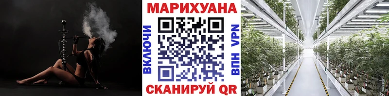 Бошки Шишки AK-47  дарнет шоп  Талица 